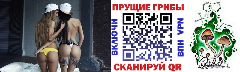 Галлюциногенные грибы Psilocybe  Томмот 